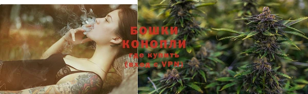прущие грибы Баксан