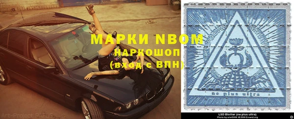 прущие грибы Баксан