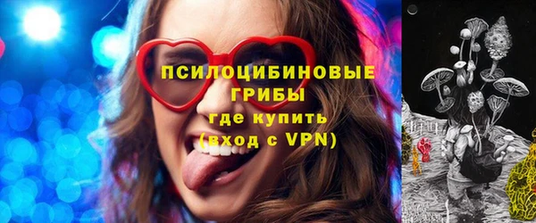 прущие грибы Баксан