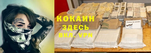 прущие грибы Баксан