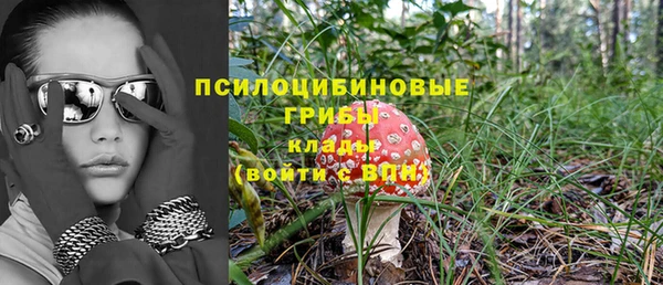 ПСИЛОЦИБИНОВЫЕ ГРИБЫ Балахна