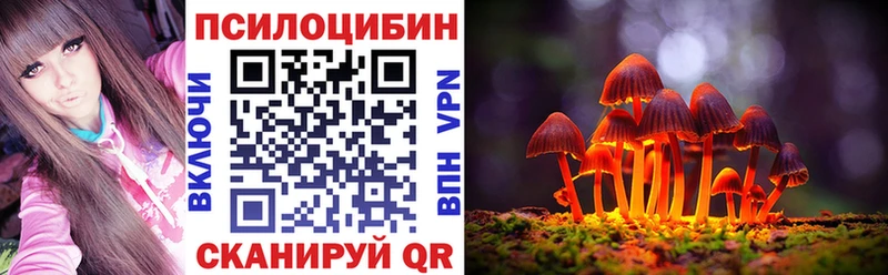Псилоцибиновые грибы Cubensis  блэк спрут   Никольское 